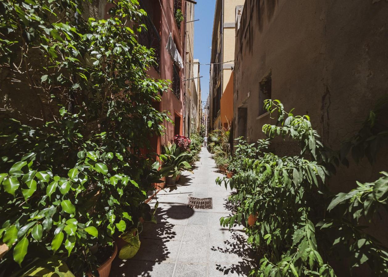 Domus De Gorga - Your Sardinian Apartment Cagliari Eksteriør bilde